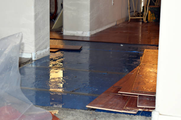 Professional Basement Flood Cleanup technician working in Manson, IA